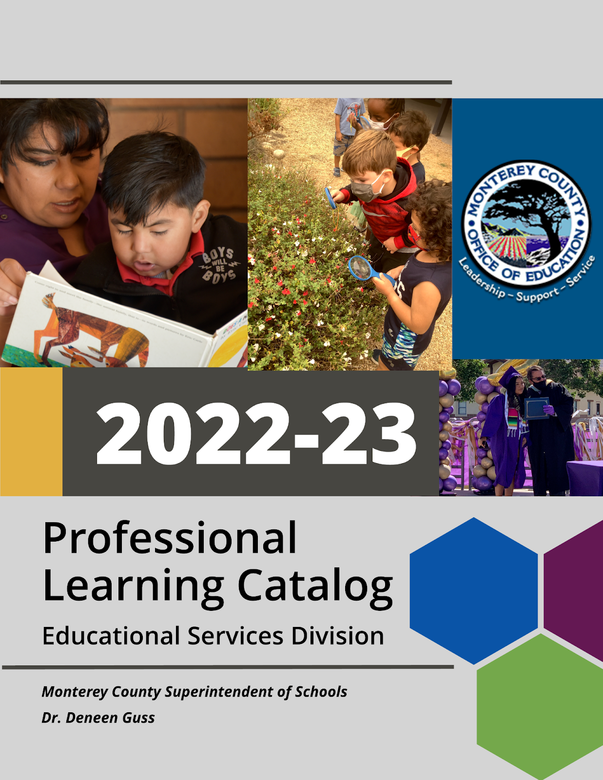 Professional Learning Catalog Cover