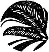 D:\0 wd yedek\acr yedek\1 film indirme\encyclopedia_symbols_roshal\encylopedia_files\000548.jpg