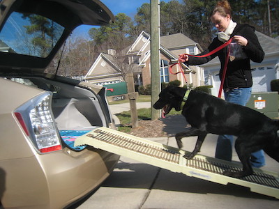 Top Best & Safest Dog Ramp For Cars UK - 2023 UPDATED