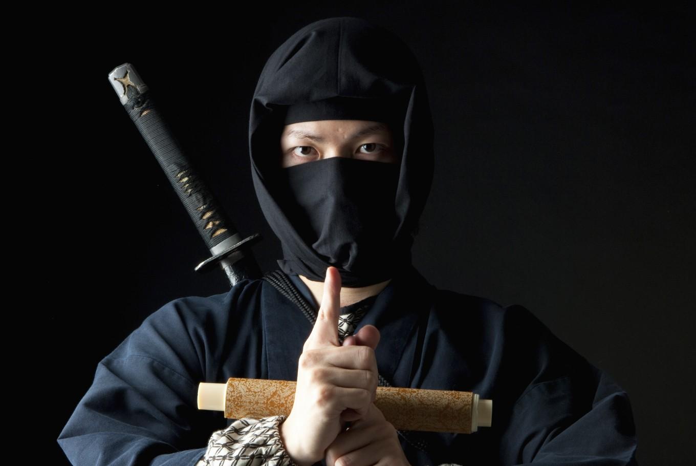 Image result for japan ninja