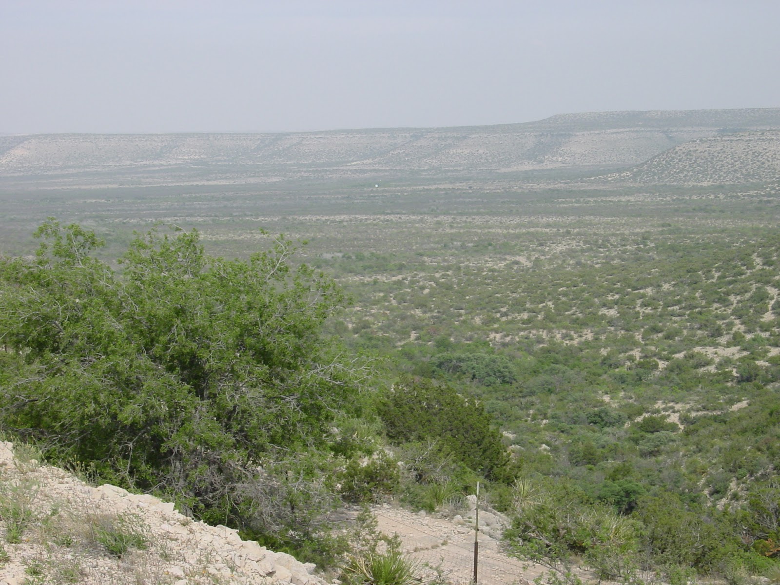 An open desert valley with some dull green shrubs and distant mesas.