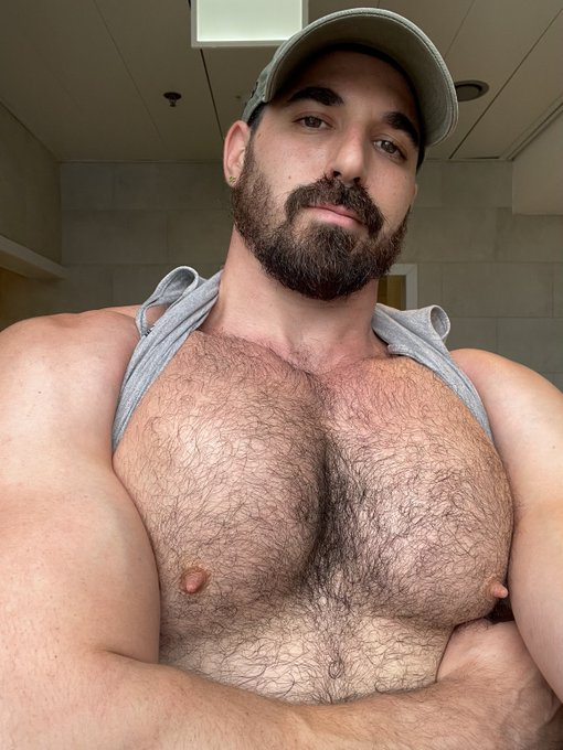 Thick Macho smiling with his shirt over his shoulders revealing his hairy muscled pecs and pointy gay nipples