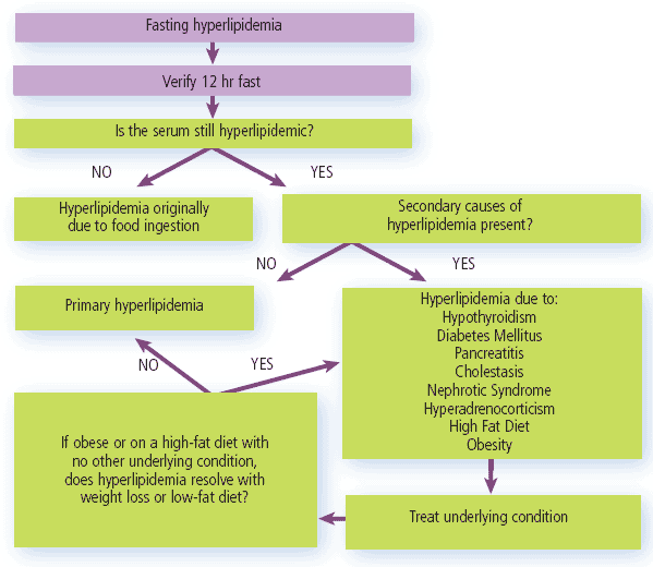 Diagnostic Approach to the Hyperlipidemic Patient IVIS