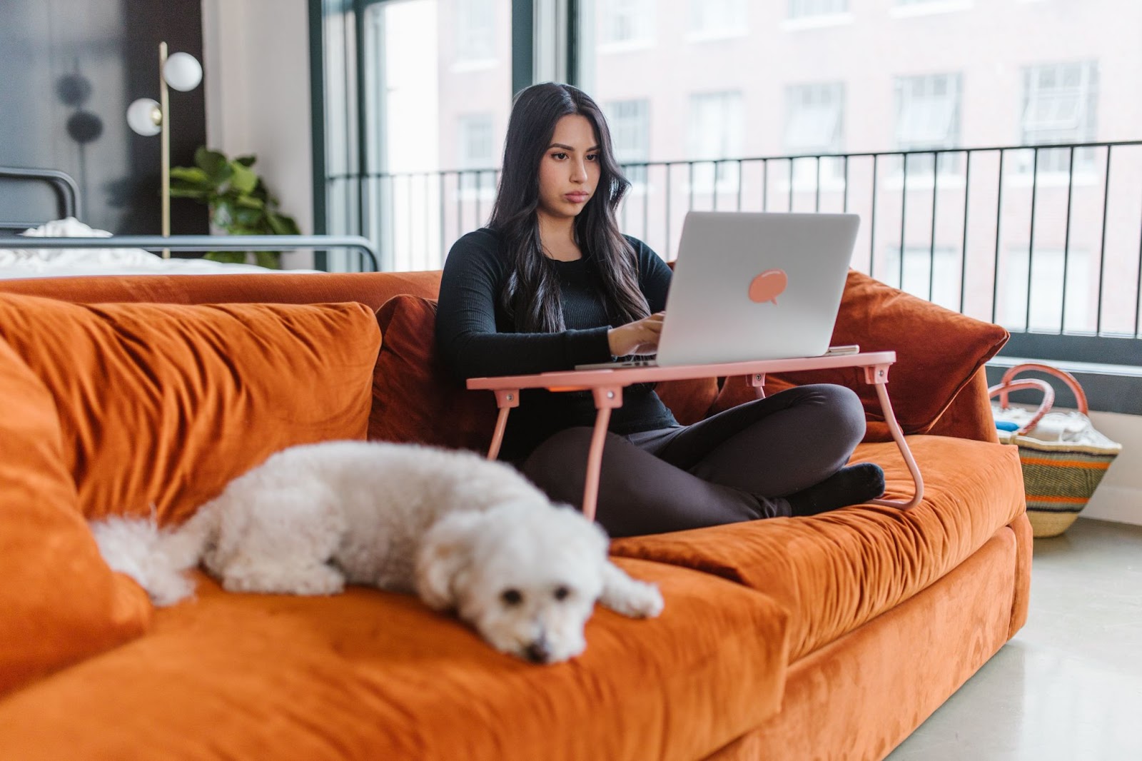 girl working on laptop, sitting on couch with dog
