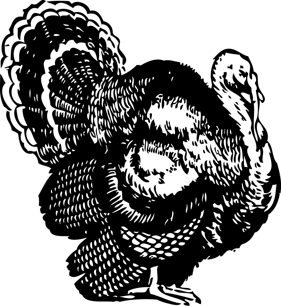 Illustration of a turkey
