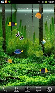 Free Aquarium Live Wallpaper apk Review