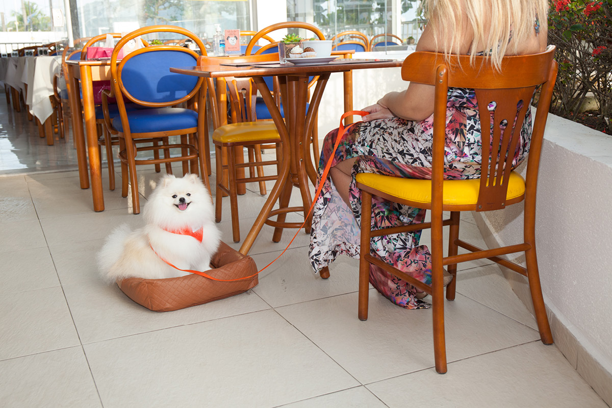 Pet Friendly: saiba tudo sobre isso no Hotel Doral Guarujá!