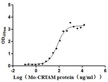 Immobilized Mouse CADM1 at 2μg/mL can bind Mouse CRTAM, the EC50 is 52.61-92.92 ng/mL.