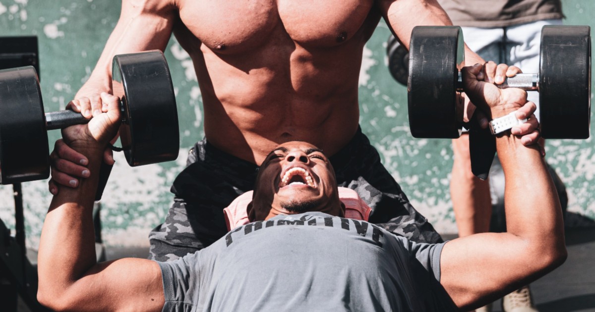 Gym Gains No Pain