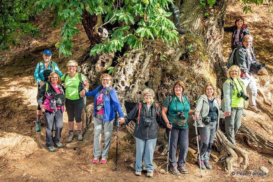 La imagen puede contener: 6 personas, personas sonriendo, personas de pie, Ã¡rbol, exterior y naturaleza