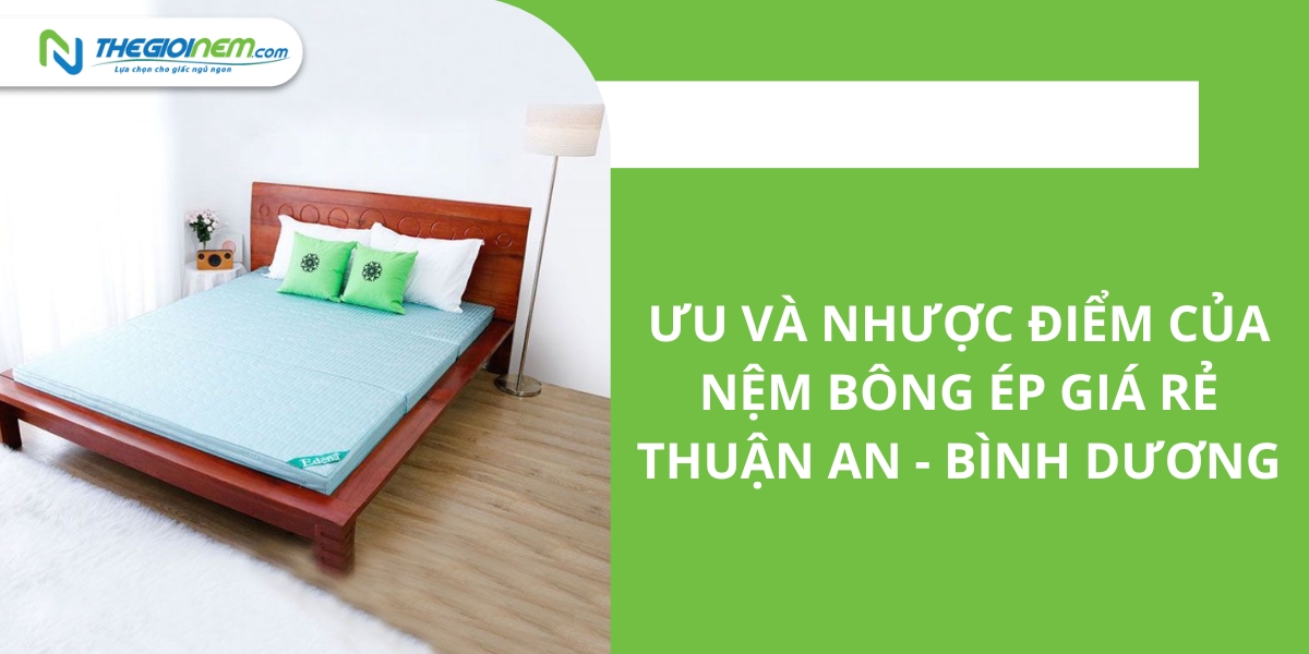 Đại lý bán nệm bông ép giá rẻ Thuận An - Bình Dương