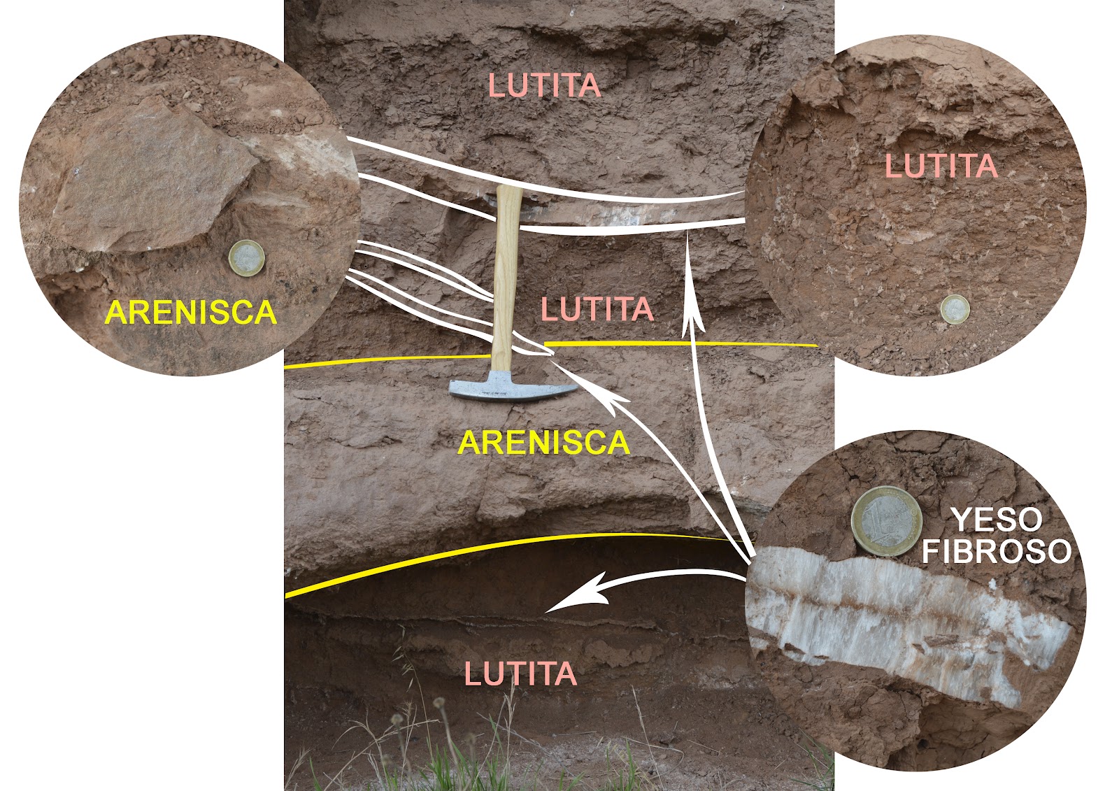ESTRATOS LUTITA.jpg