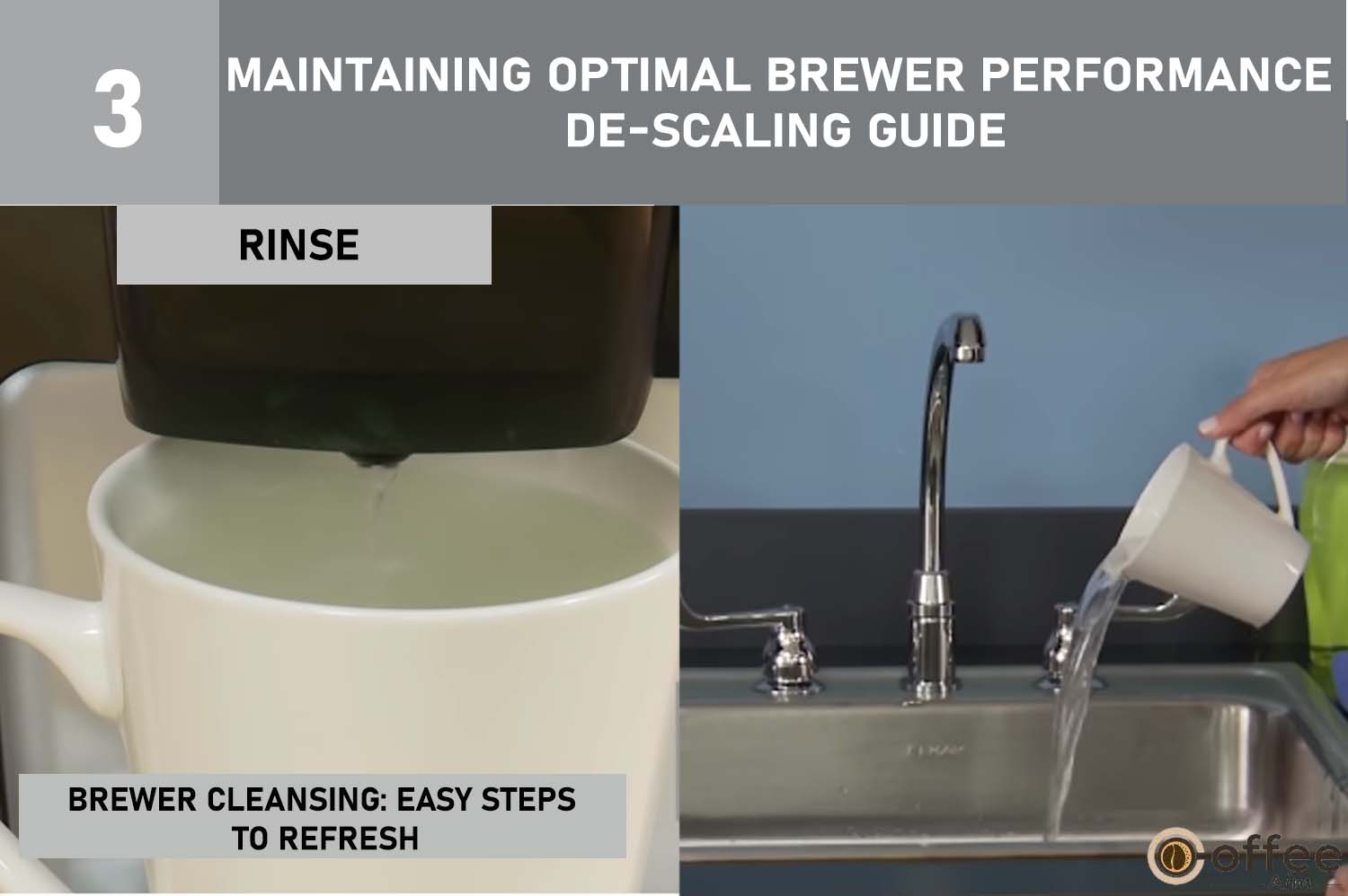 The provided image illustrates the "RINSE" step as part of the "Maintaining Optimal Brewer Performance: De-scaling Guide" featured in the article "How To Use Keurig B-31."