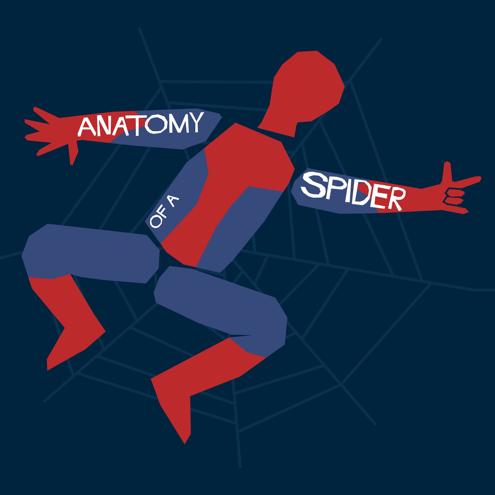 anatomy of a spider