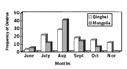 Distribution of estrus in different months of a year.