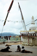 Langtang Nepal image credit Amy Edelstein