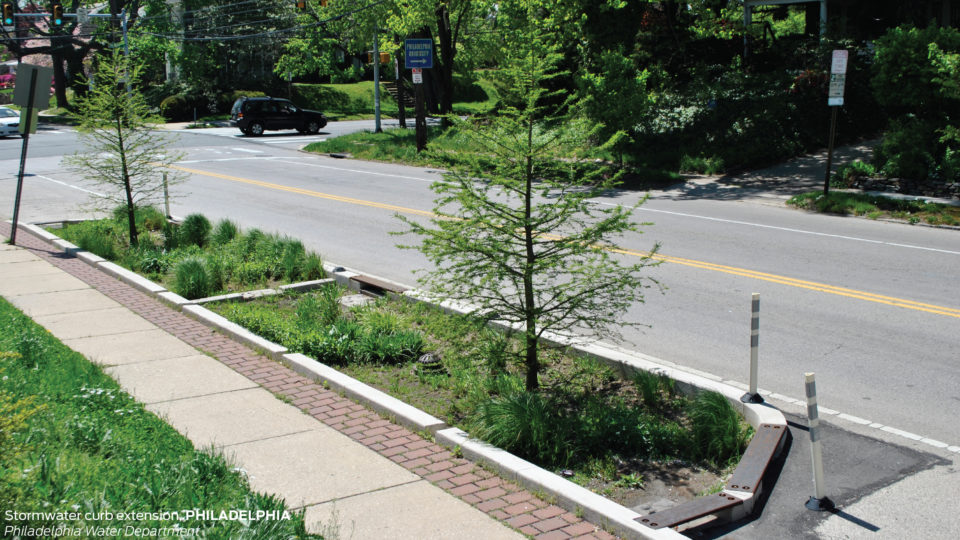 Example of permeable flexible pavement to maximize sidewalk width next to street trees.