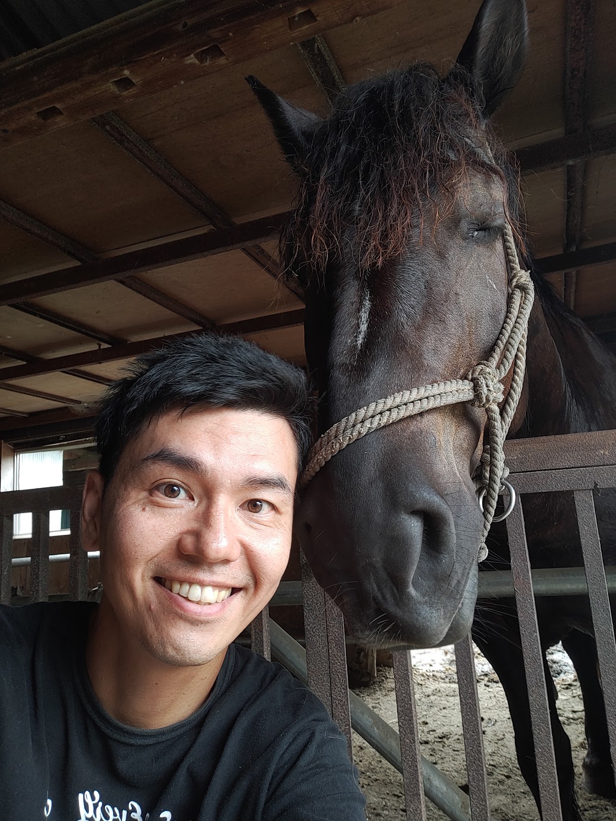馬と共生する 秘密基地 を いまここを大切にする場づくり 山下 勉 Ven Share Horse Island 07 22 公開 クラウドファンディング Readyfor