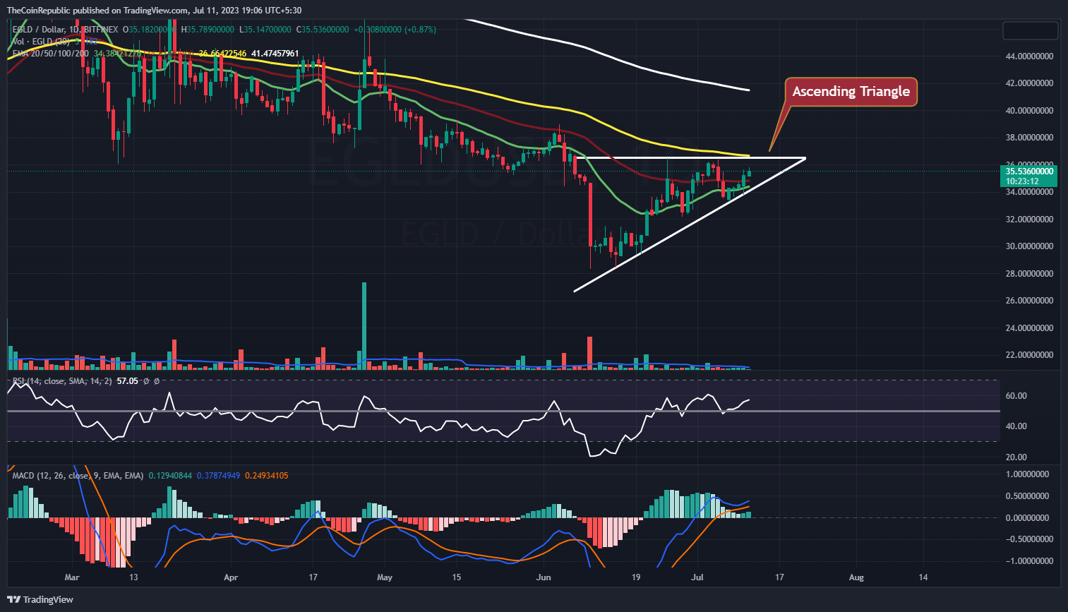 EGLD Price Prediction: Will EGLD Crypto Break Out From Here?