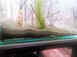 600l aquascaping 1UykPNcPgT7JldiMv0nl2X3LQf7B2fNgkW8ZALPMTB8=w264-h197-p-no
