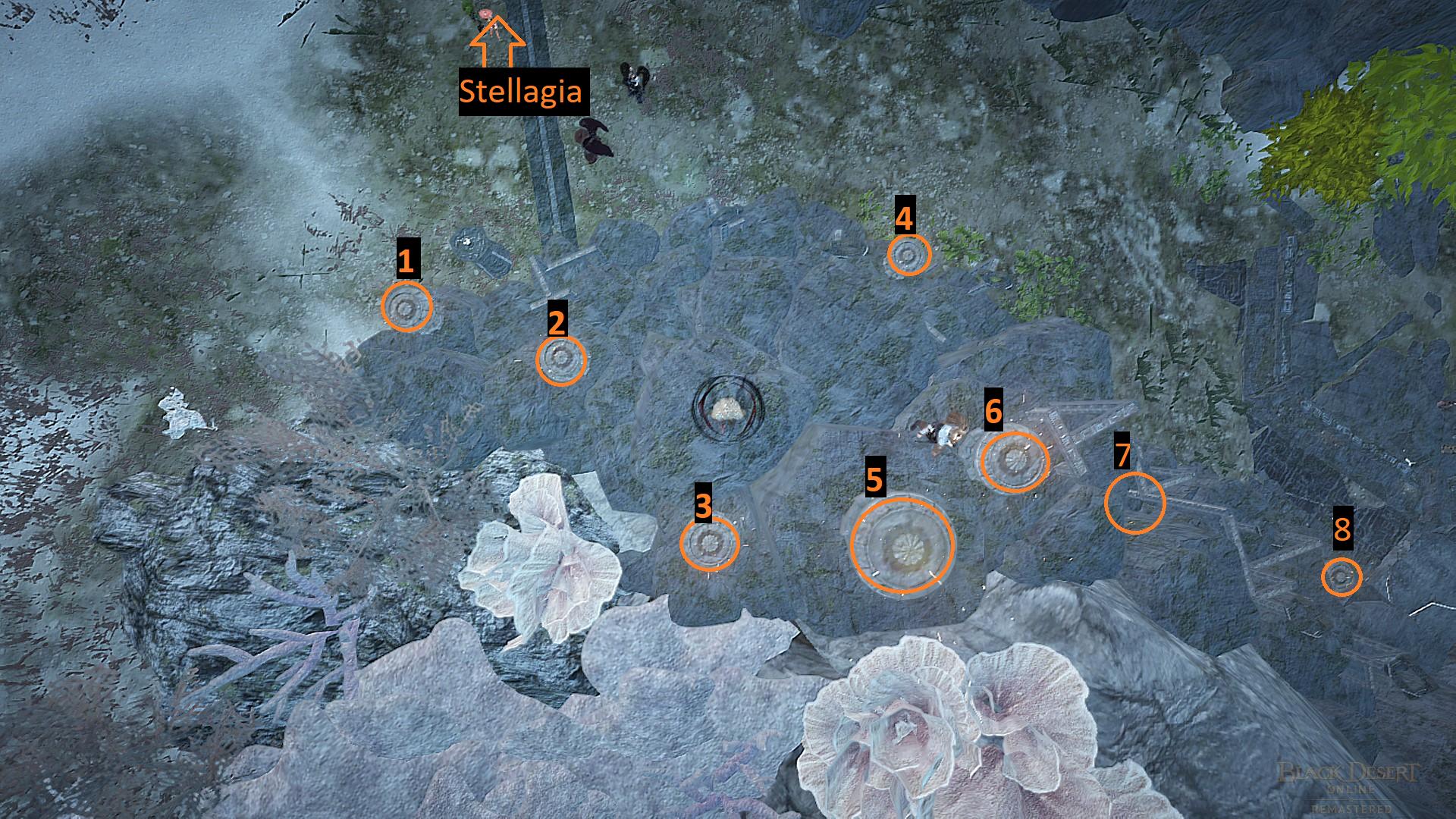 Black Desert 4.Bulmaca Kule Düzeni