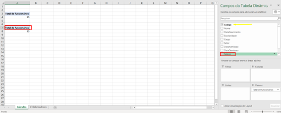 Campo Salário na Tabela Dinâmica criação de Dashboard no excel