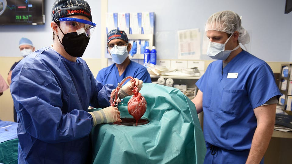 Medical Marvels