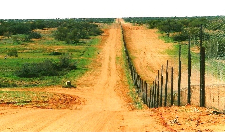 Billedresultat for dingo fence australia map