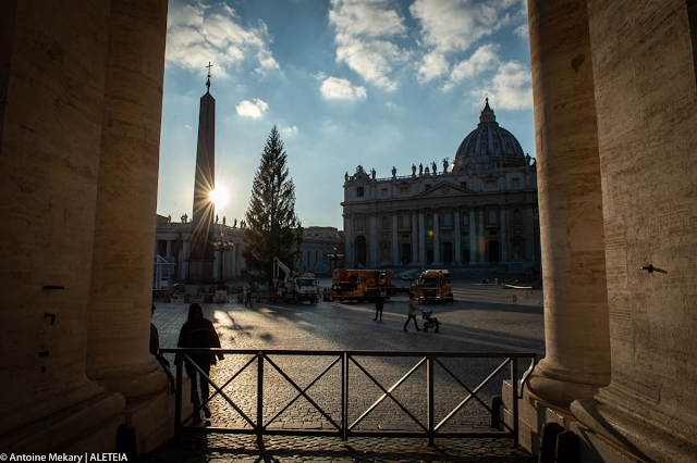 Loạt ảnh: Cây thông Giáng sinh đến Vatican