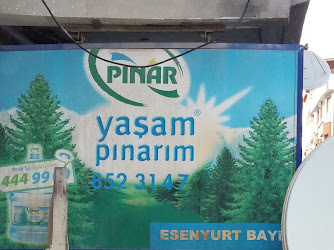 Pınar Su