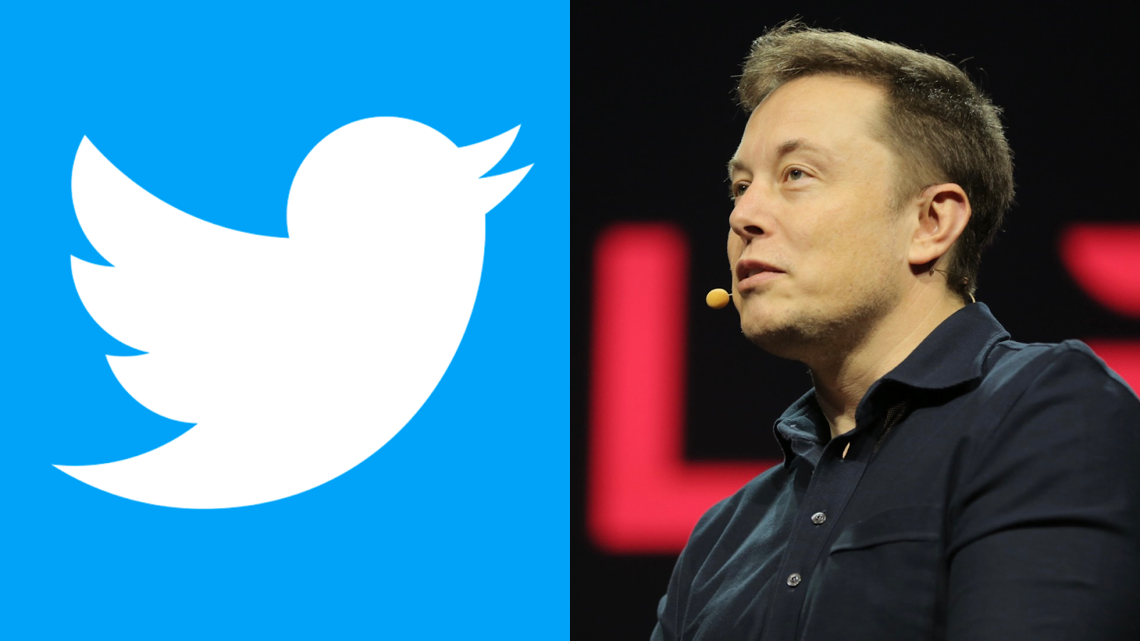 Elon Musk. TWITTER AND ITS MASS LAYOFF