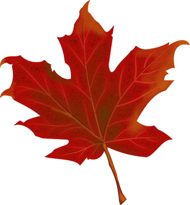 Free vector graphic: Leaf, ...
