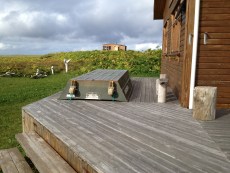 IMG_1079