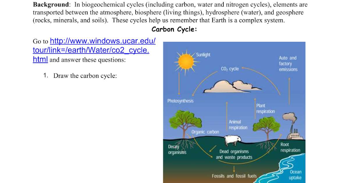 11-ecology-webquest-answer-key-pdf-hassanmorven