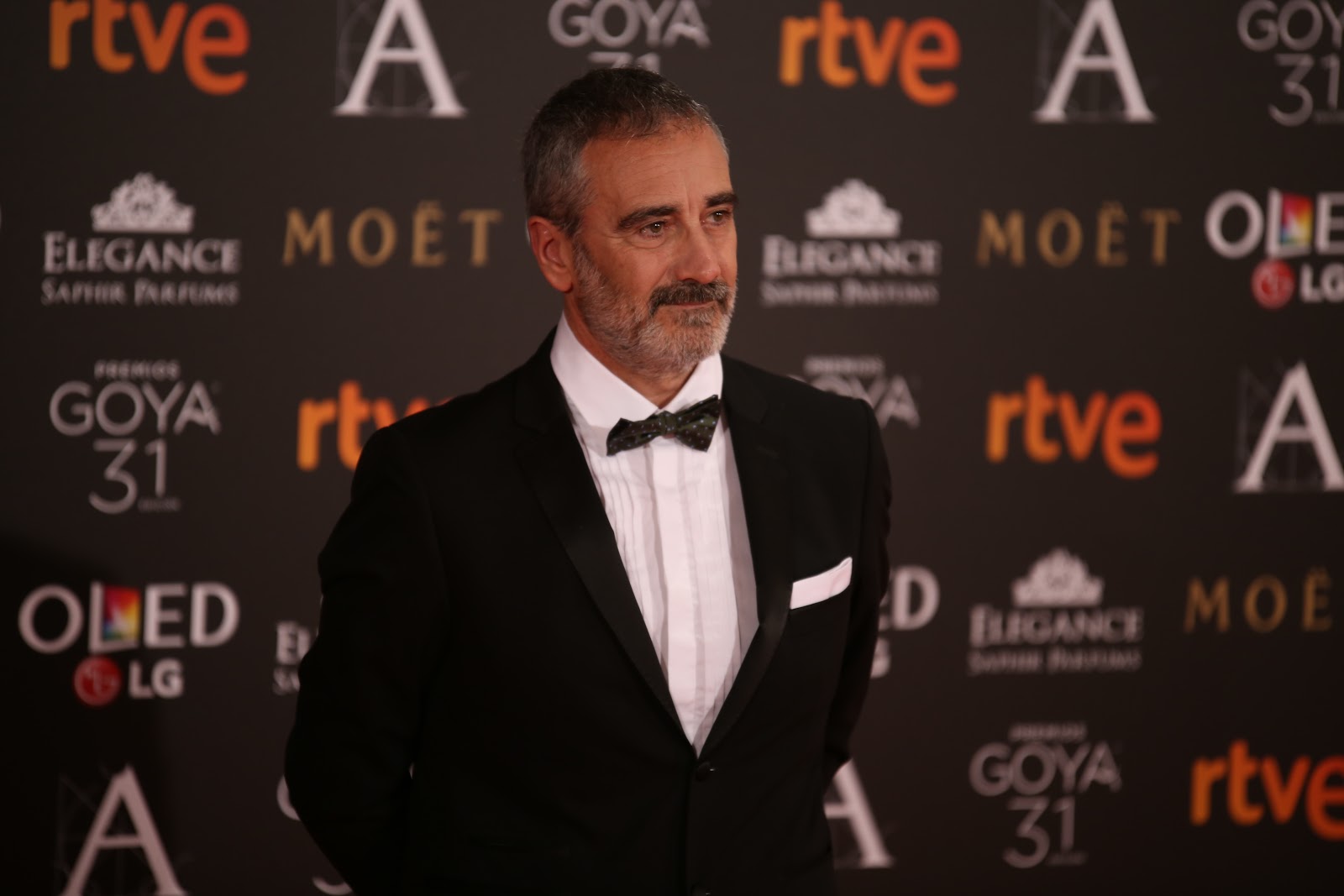 https://upload.wikimedia.org/wikipedia/commons/3/33/Javier_Fesser_at_Premios_Goya_2017.jpg