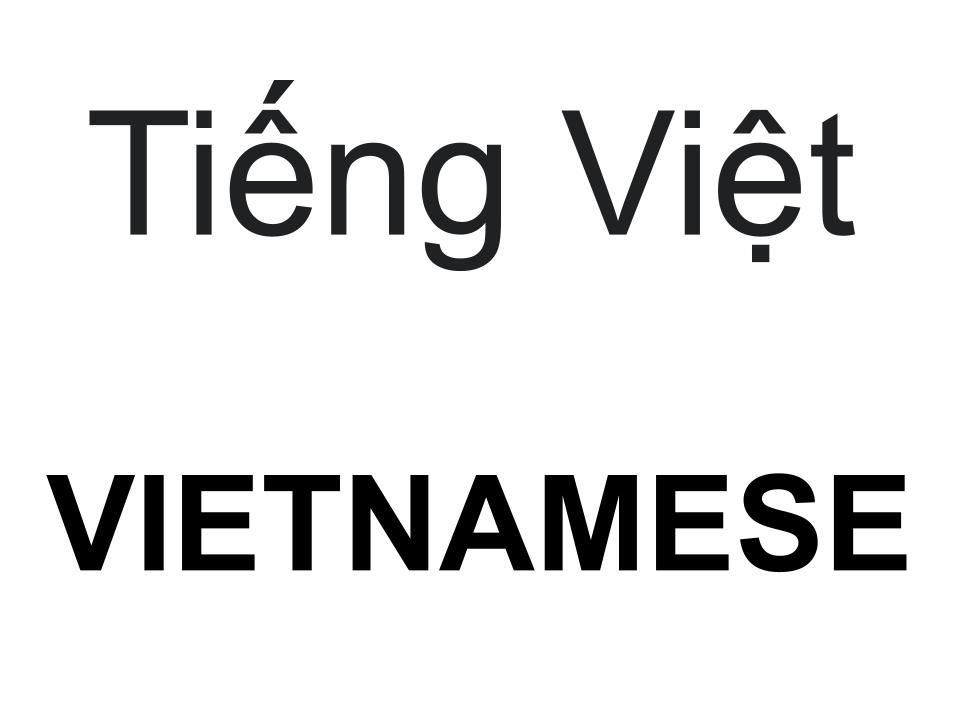 Vietnamese translation button