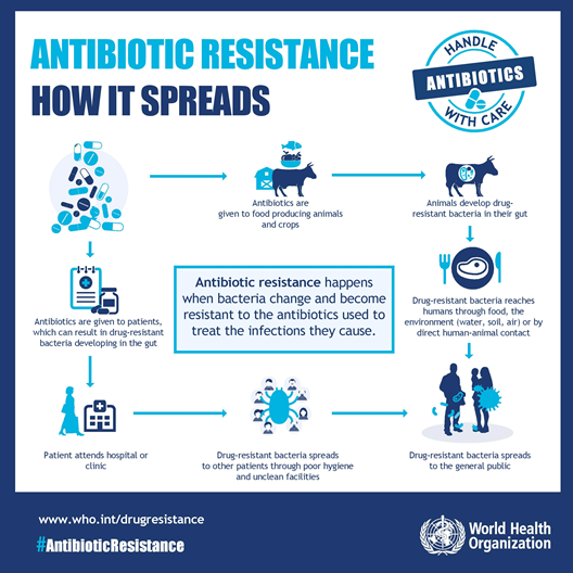 Antibiotic resistance drawing from World Health Prganization 