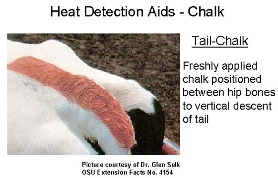 Heat detection using tail-chalk. 