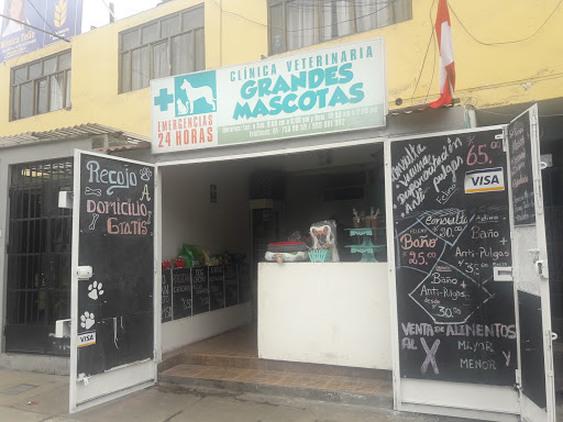 24 HORAS CLINICA VETERINARIA GRANDES MASCOTAS