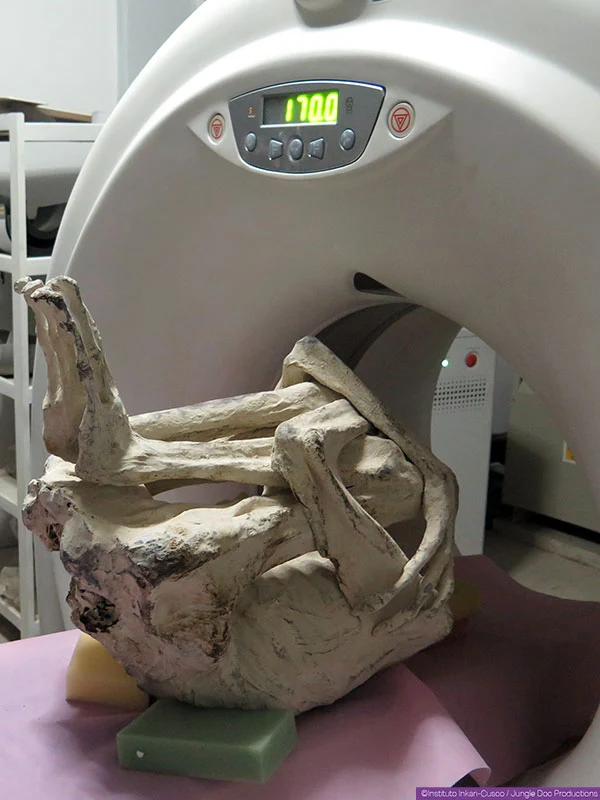 DNA test, Three-fingered alien corpses, Peru, New species, Human, Alien discovery, Biological analysis, Extraterrestrial hypothesis, Unusual human remains, Genetic testing