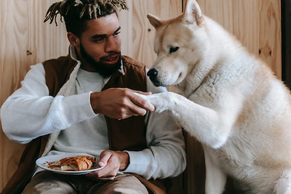 Bowser trying to steal owner's food