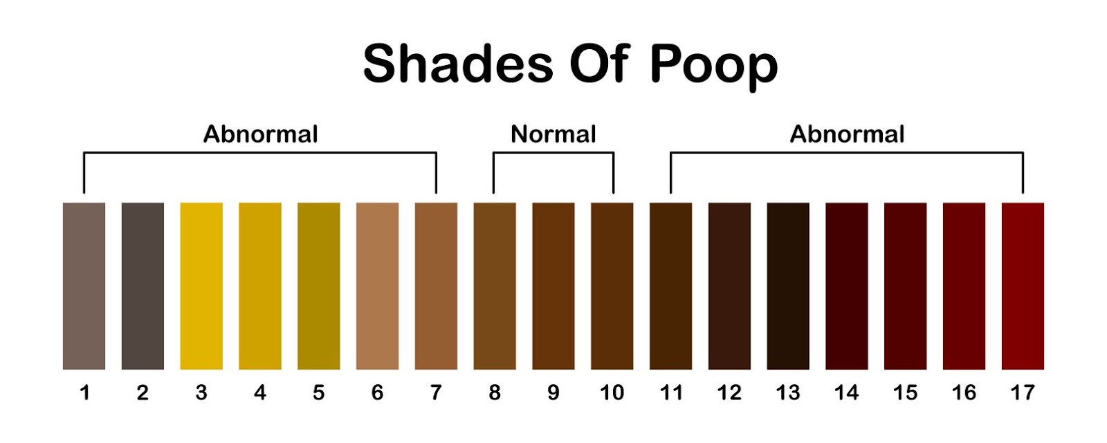 shades color of poop