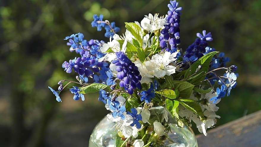 https://p0.pikist.com/photos/990/170/flowers-bouquet-of-flowers-spring-bouquet-colorful-bouquets-color-white-sour-cherry.jpg