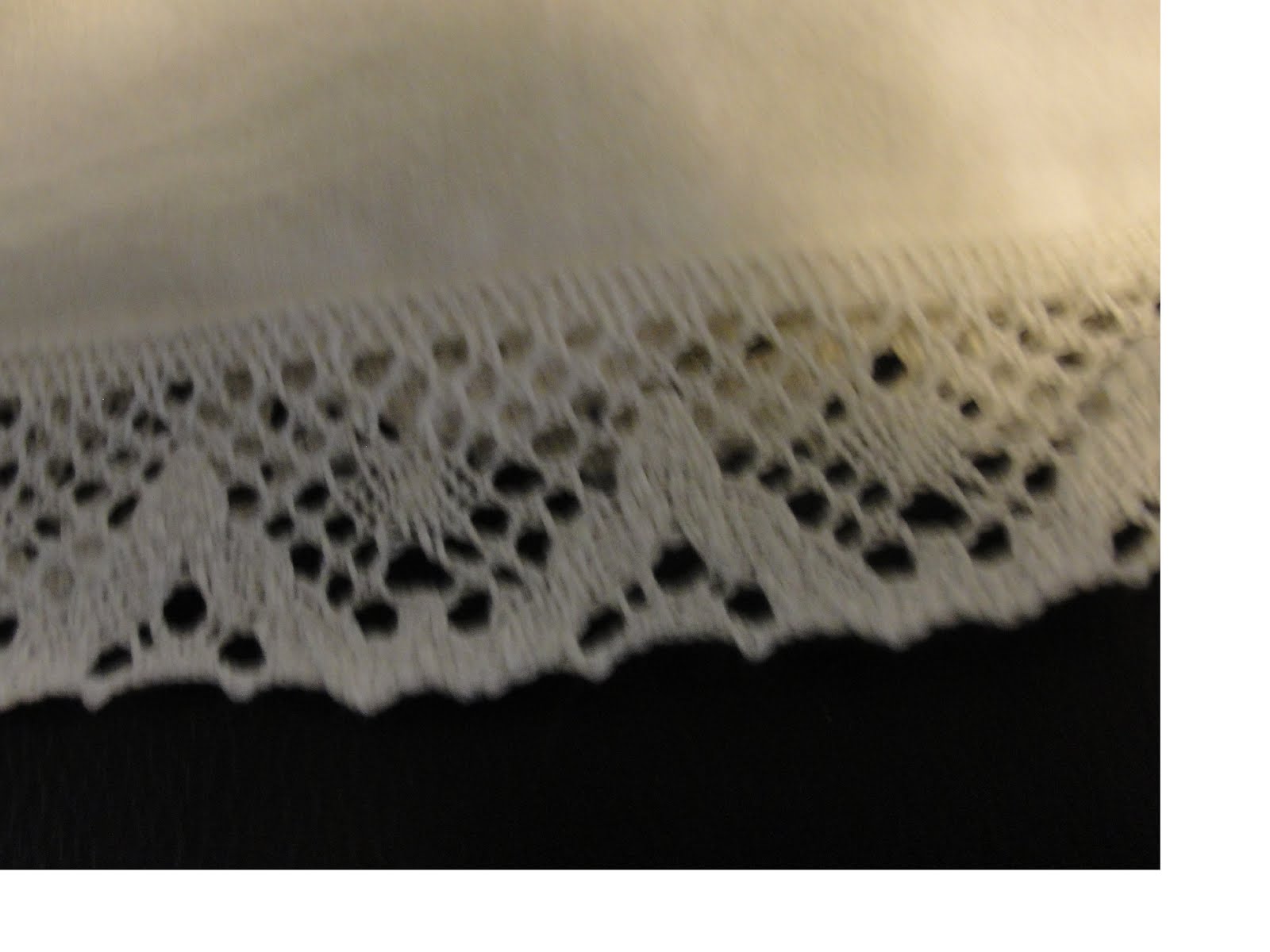 Bloomer lace 1.jpg