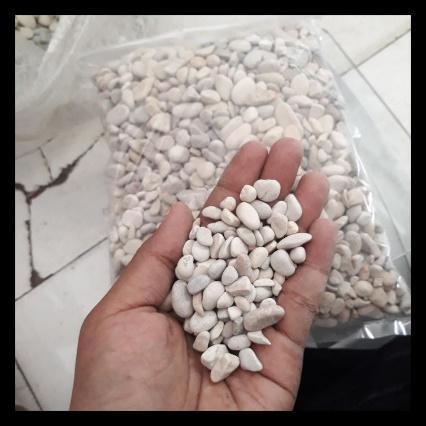 Description: Jual BATU CORAL PUTIH KECIL 1 KG, BATU TAMAN KECIL, BATU SIKAT, BATU TERAS  | Shopee Indonesia