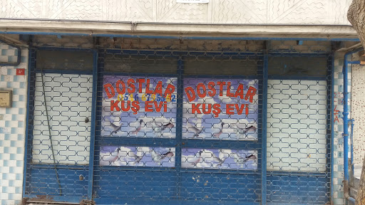 Dostlar Kuş Evi | Sultangazi İstanbul - Kuşçu