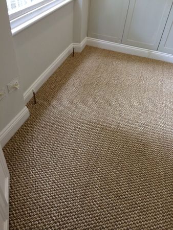 best way to clean a carpet by hand