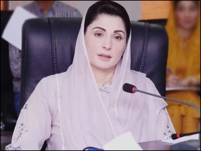 Well Done "N-League" Maryam Nawaz gives congratulations to his/her workers