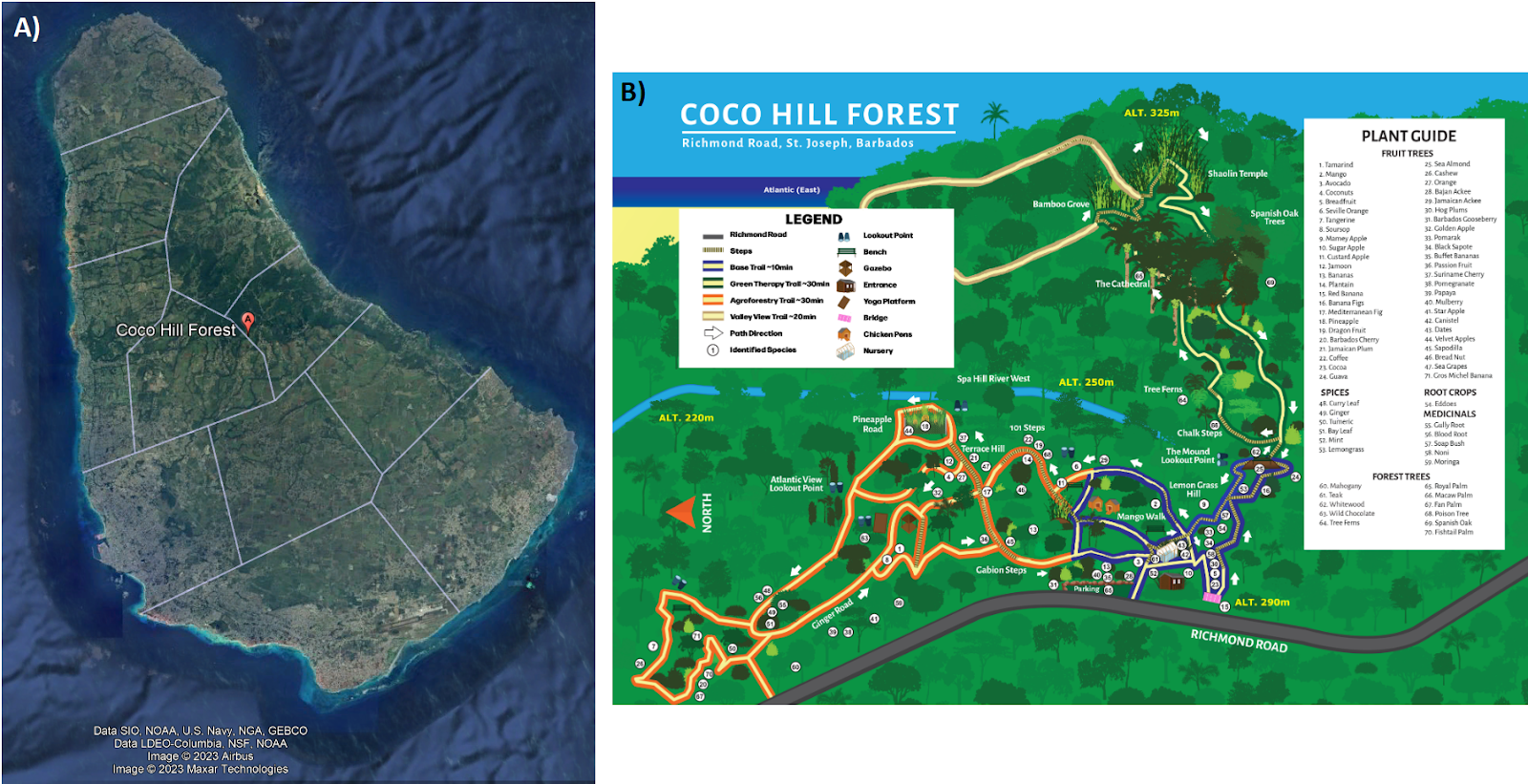 Figure 1. A) Location of Coco Hill Forest (Source: Google Earth) and B) Coco Hill Forest Map (Source: https://cocohillforest.com/)