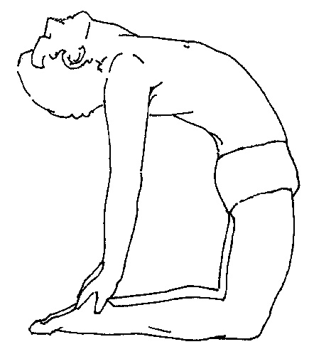 Ustrasana.jpg